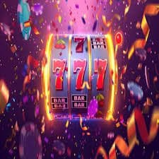bj77bd
